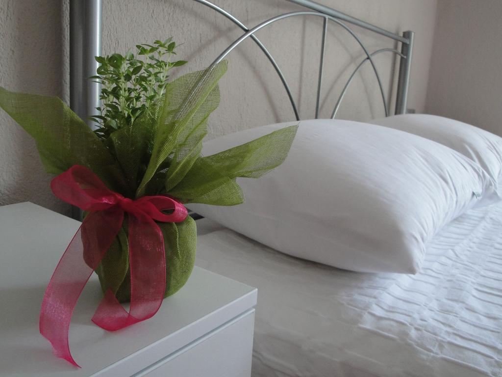 Amaryllis Studios Asproválta Rom bilde